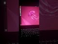 linux | ubuntu lastest version #shortsvideo #programming #linux #youtubeshorts
