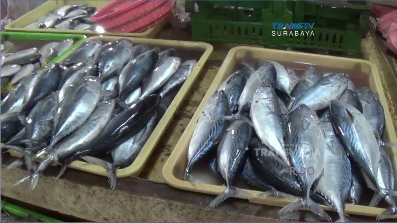 Harga Sayur Anjlok Ikan Laut Naik YouTube