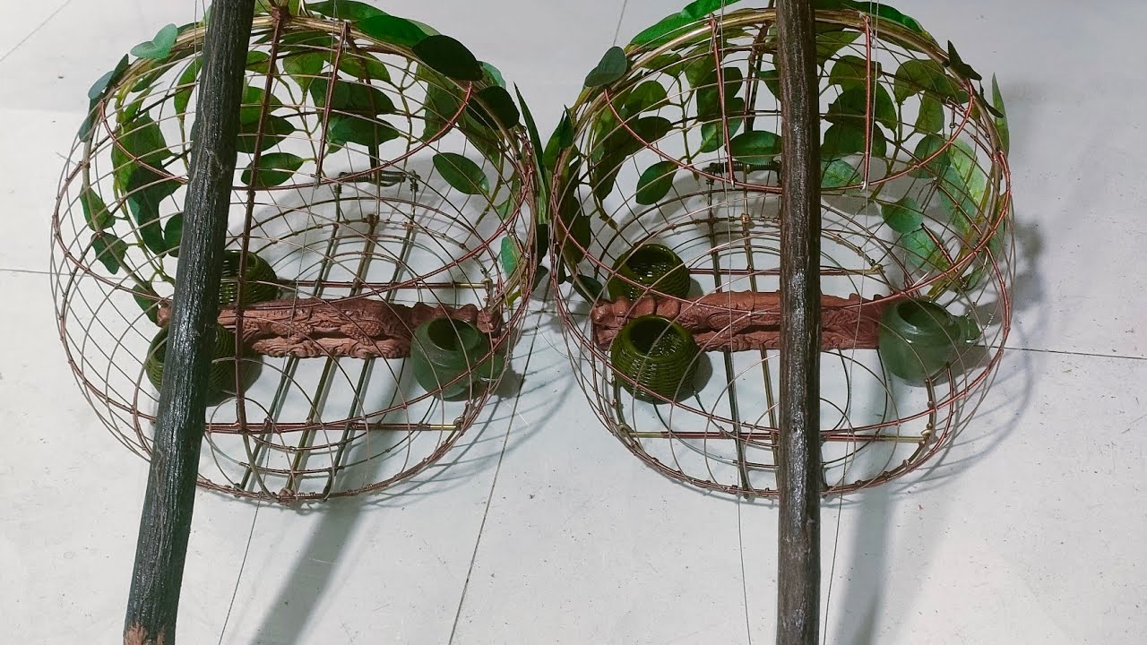 Lục cu bay dinh bay dinh lục Gáo.