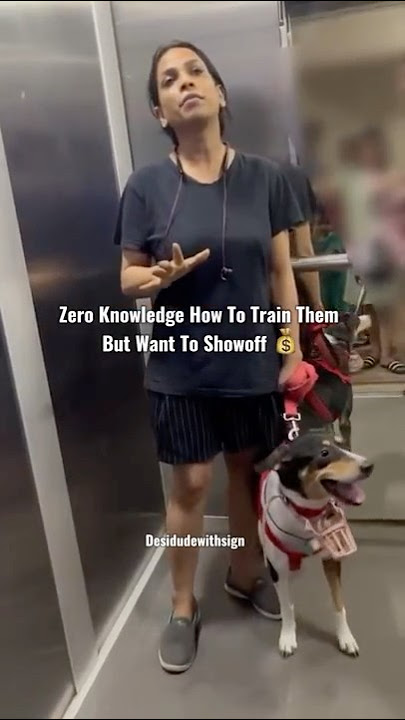 Adopt Stray Dogs ❤️ #dogs #shorts