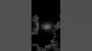 سورة المؤمنين - الاية 69 🤍.
