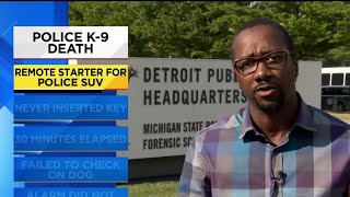 Death of DPD K-9 under investigation