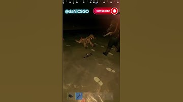 Best Rust TWITCH HIGHLIGHTS #15 #rust