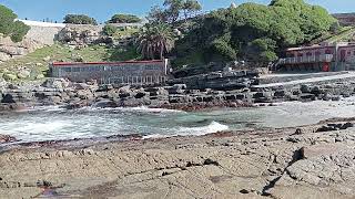 The Harbour Master #Hermanus #figuring things out