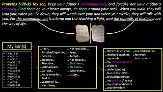 Proverbs 6:20 -35 Avoid the Evil Woman
