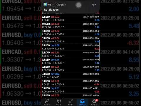 Daily results of trading Robot Forex (EA)