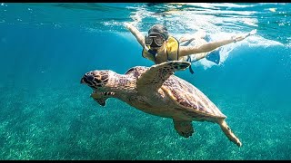 Total Snorkel Cancun