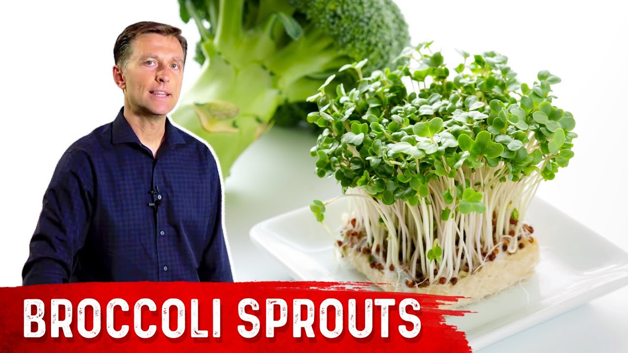 Cruciferous Sprouts are 100X Stronger in Anti-Cancer Properties