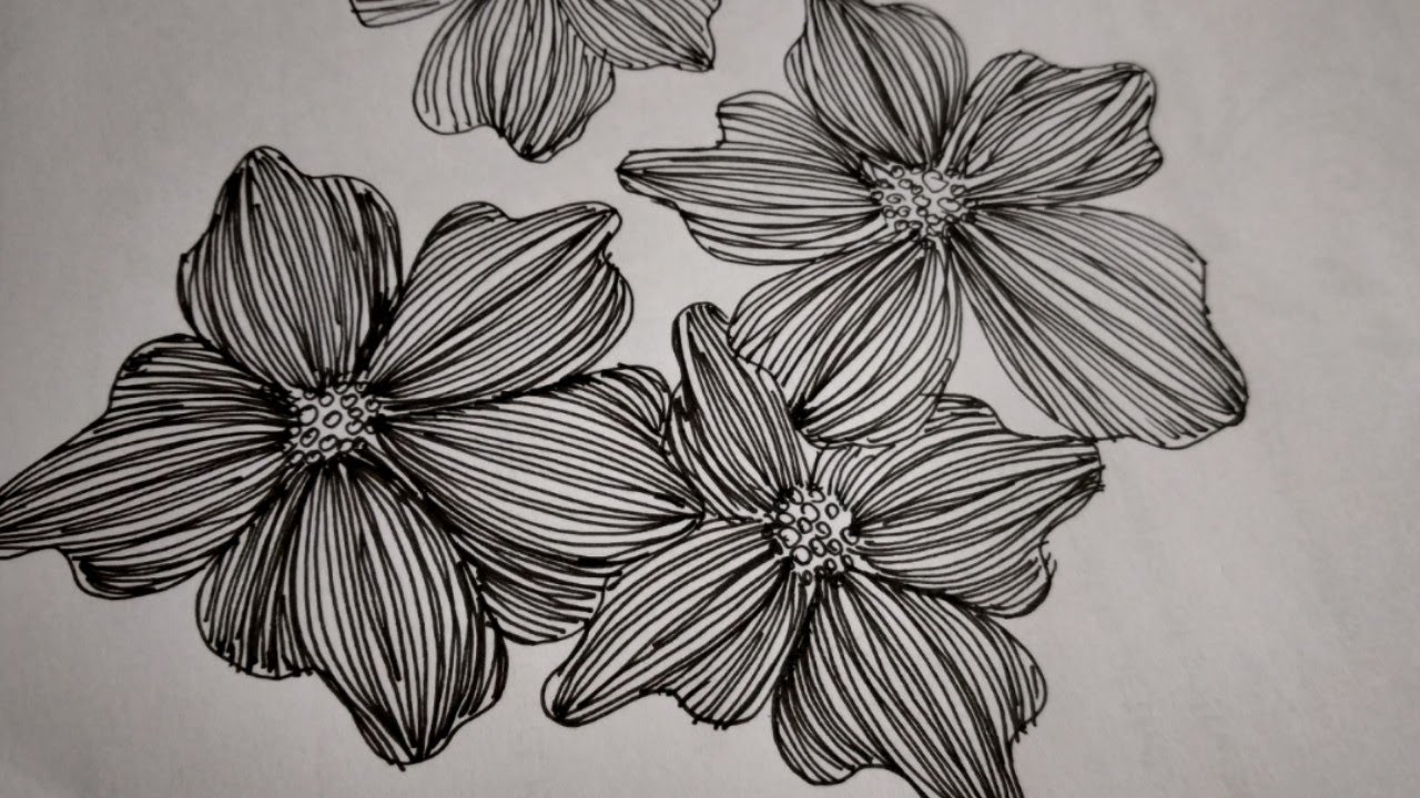 Art therapy # 5/ line Flowers drawing / zentangle art / Easy Flower drawing step by step/ line art