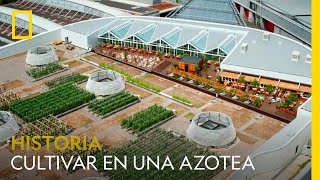 El huerto urbano de azotea más grande del mundo | NATIONAL GEOGRAPHIC ESPAÑA