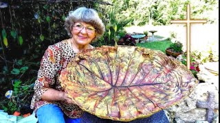 My Big Leaf Portland Cement Bird bath in Ga.U.S.A.