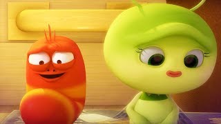 larva new friends cartoon movie cartoons for children larva cartoon larva official