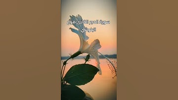 سورة الحجر القارئ هزاع البلوشي 💚💚