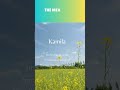 The Fascinating World of Name Meanings