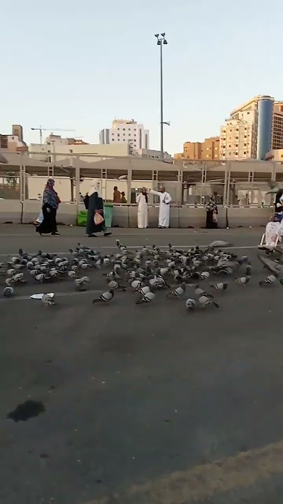 jarwal makkah al harram #travel #masjidilharom