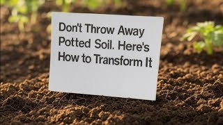 Famous Never Throw Out Old Potting Soil Again -  Refresh and Reuse it to Save TONS of Money Wealth