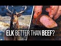 Delicious and Healthy Elk Steak Recipes: A Culinary Exploration