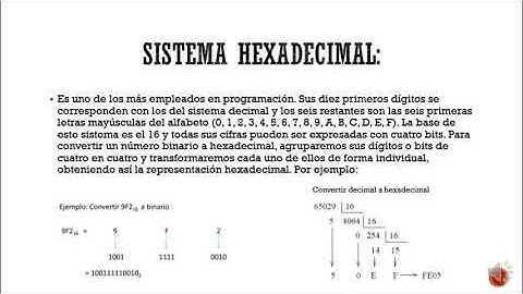 El Microprocesador (Lenguaje de Maquina)