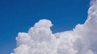 Time lapse of rising cumulus congestus IV - collapsing cell