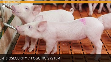 DOSATRON - Animal Health - Pork application