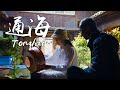 「滇味奇遇」——通海，云南人的“菜篮子”【滇西小哥】