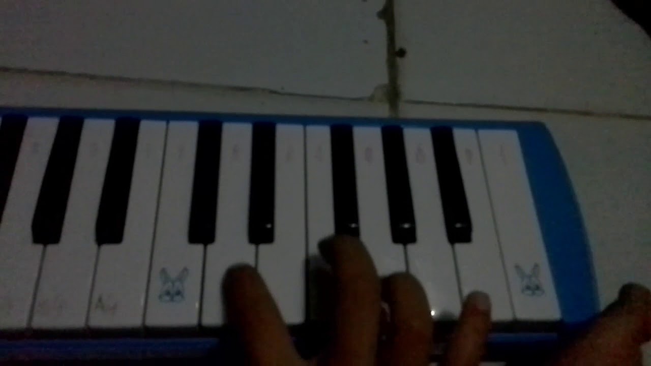 Not Lagu Burung Kakak Tua Youtube