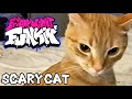 Friday Night Funkin' Scary Cat Song (description)