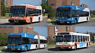 Transit action in Mississauga 6 (Compilation video)