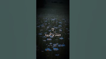 قال ربي اشرح لي صدري ويسر لي امري 🌼 #تلاوة #تلاوة_خاشعة #تلاوة_هادئة #قرآن_كريم #قرآن #قران_كريم