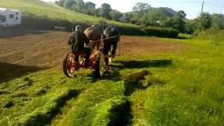 horses mowing hay with bamlett