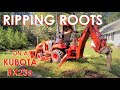 Ripping up roots with a bxpanded ripper on a kubota bx23s