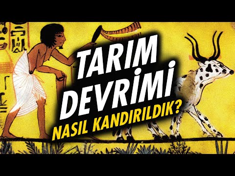 Video: Birinci ve ikinci tarım devrimleri sırasında ne oldu?