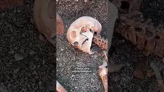 Archeologists use AI to generate image of Pompeii victim