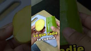 #recetas