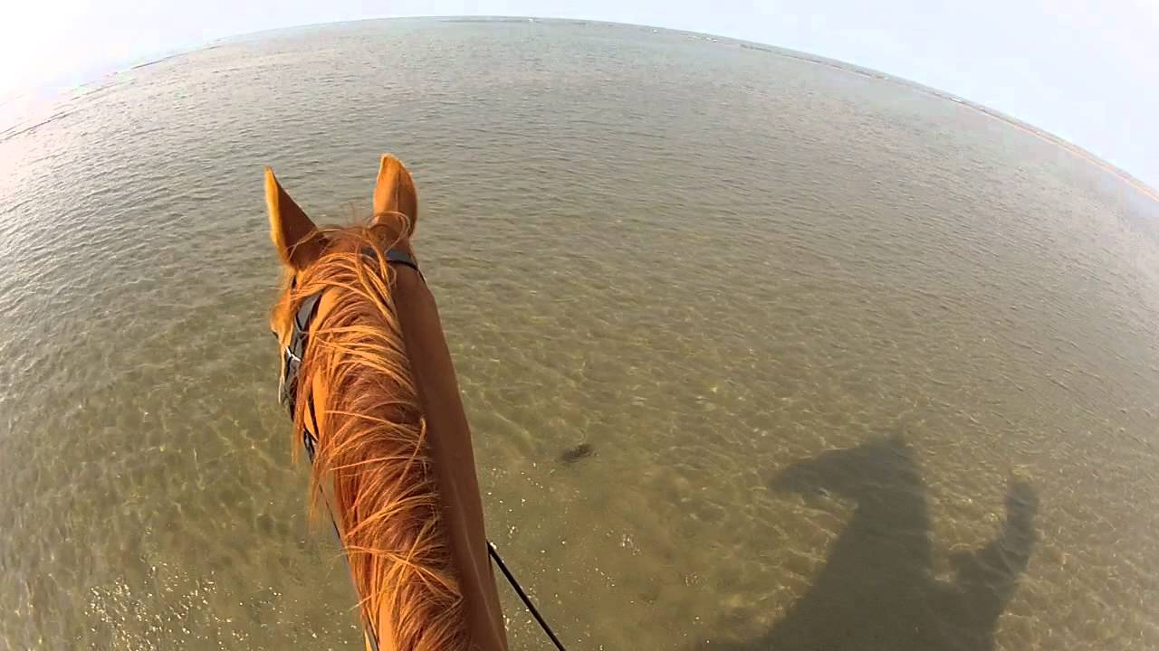 Horse Riding Dinas Dinlle Beach. GoPro Hero2 YouTube