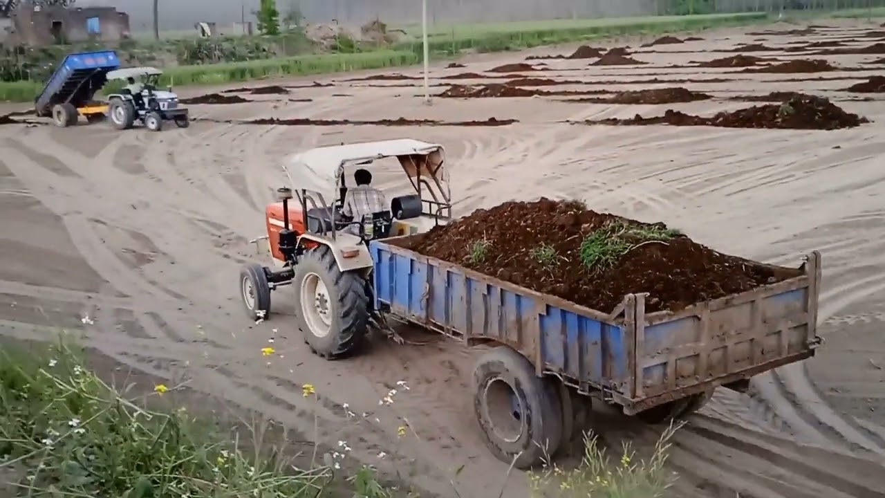 #Dahera #kheta #vich pya #2 ekad vich #30 trale pye #theka fadea #dahera paun #vaste# mahindra 605