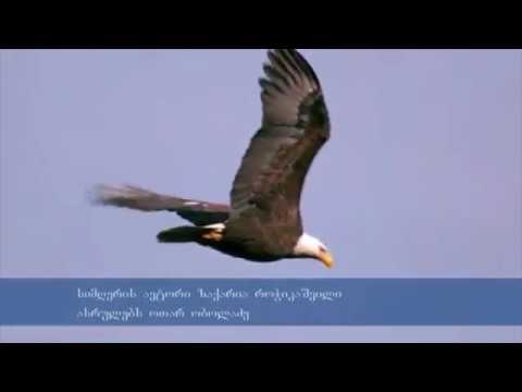 ოთარი ობოლაძე - არწივის მართვე