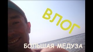 ВЛОГ: БОЛЬШАЯ МЕДУЗА В МОРЕ