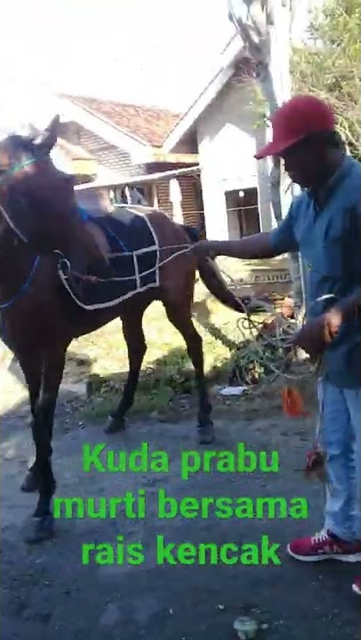 udah nyampek di rumah undangan haflatul imtihan kuda prabu murti rais kencak