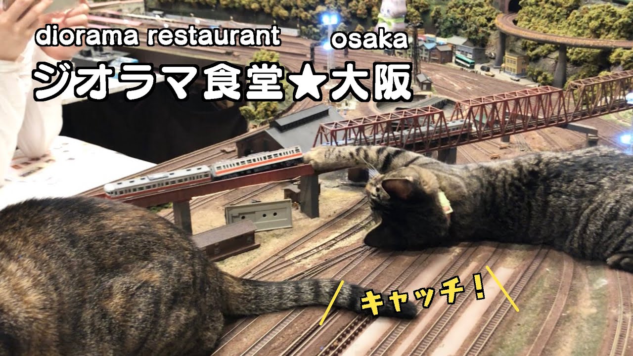ジオラマ食堂】ニャジラ出現☆電車脱線しまくりの現場です【癒し