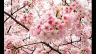 ســـــــورة الناس     الشيخ محمد حسان