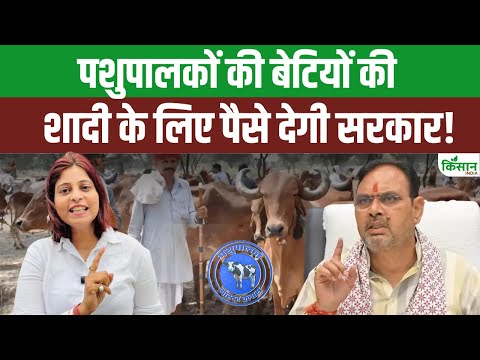 Saras Lado Mayra Yojana: पशुपालकों के लिए बड़ी खुशखबरी, बेटियों की शादी में नहीं होगी पैसों की कमी!