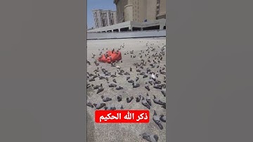 القرآن الكريم #jumagreenscreen #اكسبلور #المصحف #challenge #كلام_من_ذهب #تيك_توك #ترند #دويتو