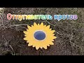 Пасха/отпугиватель кротов/скважина