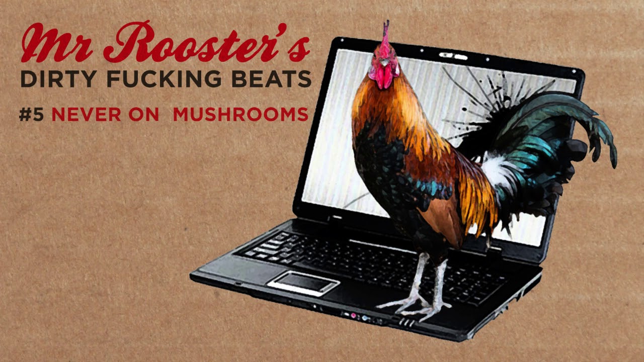 Mr Rooster & His Computer - Never on mushrooms - YouTube