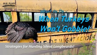 What to do when Turkeys WONT GOBBLE!