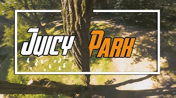 Juicy Park with my FPV Crew | Fpv Freestyle | Armattan Marmotte