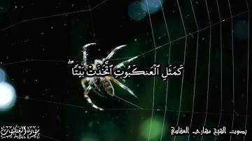 مثل الذين اتخذوا من دون الله أولياء كمثل العنكبوت - سورة العنكبوت آية 41 -