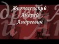 Биография Вознесенского А.А. (Гончаренко В.)