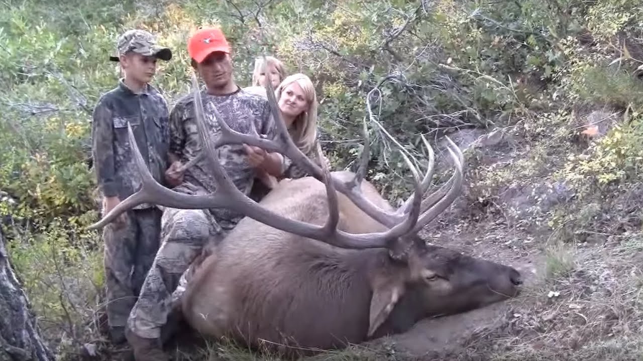 Archery and Rifle Elk Hunt Jeremy Page MossBack YouTube